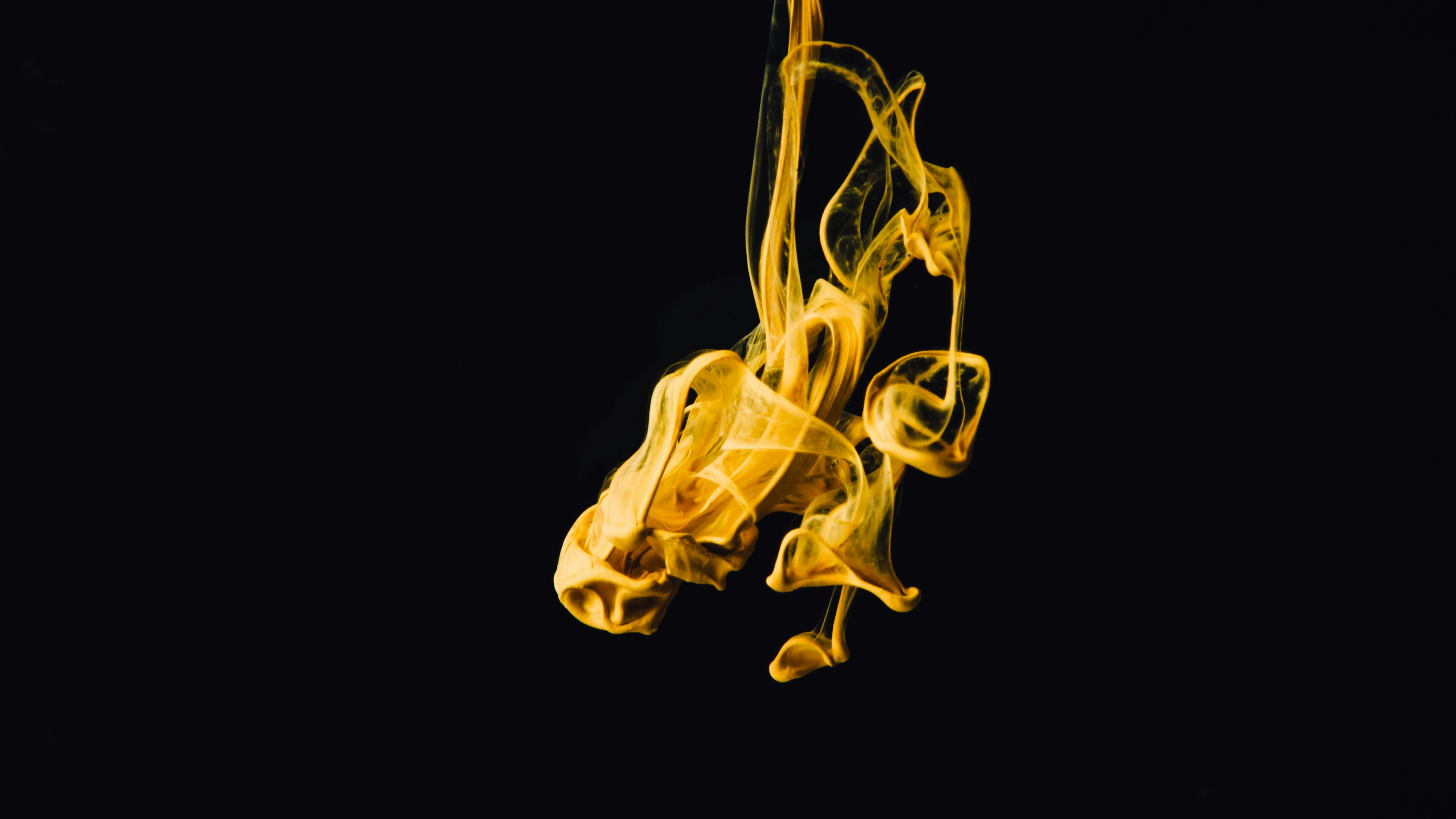 img_web_main_banner